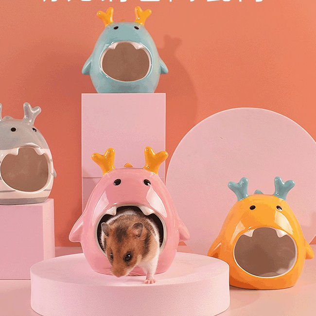 Nhà sứ tiểu long nhân dành cho hamster