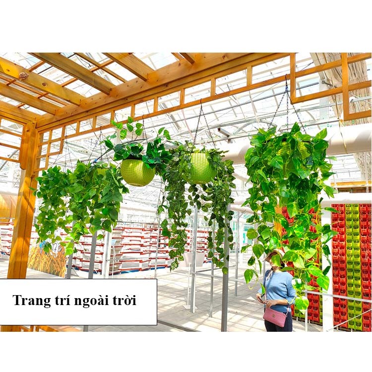 Dây Lá Giả - Cành Lá Rủ Treo Tường Chất Liệu Nhựa Trang Trí Nhà Dài 1m