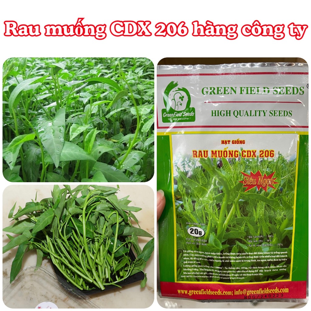 Hạt giống Rau muống siêu ngọn gói 20gram hàng chính hãng công ty đóng gói