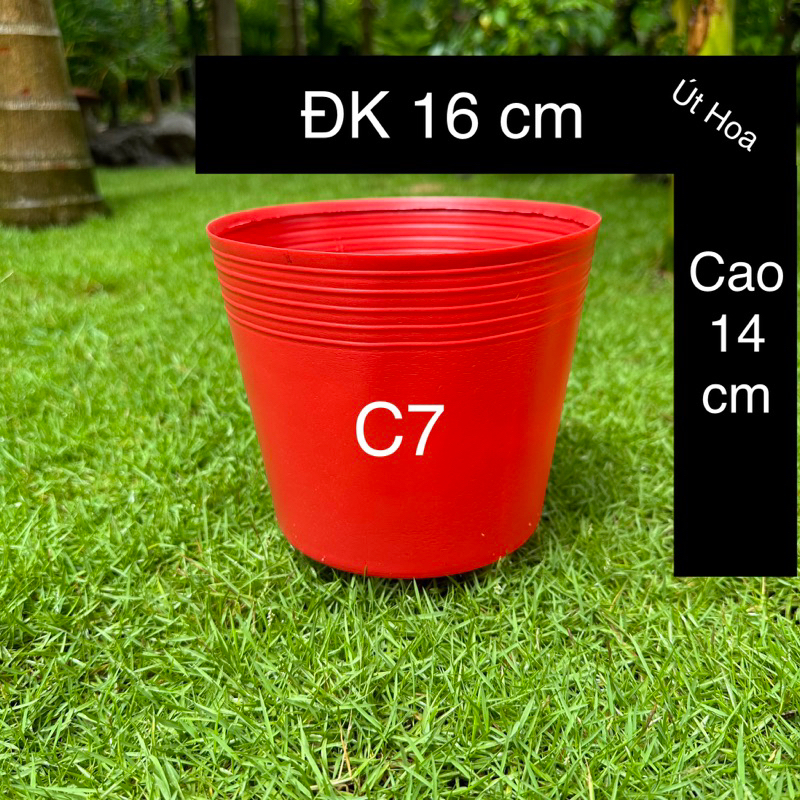 Chậu nhựa đỏ C7 (16x14 cm) trồng hoa Tết cỡ nhỏ