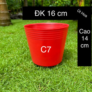 Chậu nhựa đỏ C7 trồng hoa Tết cỡ nhỏ