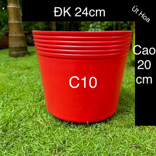 (Chậu dày) Chậu nhựa C10 ĐỎ (24x20cm) trồng hoa vạn thọ Tết dày, đẹp