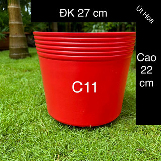 Chậu nhựa đỏ C11 trồng Hoa Tết dày dặn, không phai màu