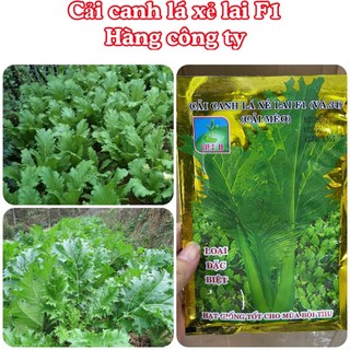 Hạt giống rau Cải mèo hà Giang gói 20gram hàng chính hãng công ty đóng gói