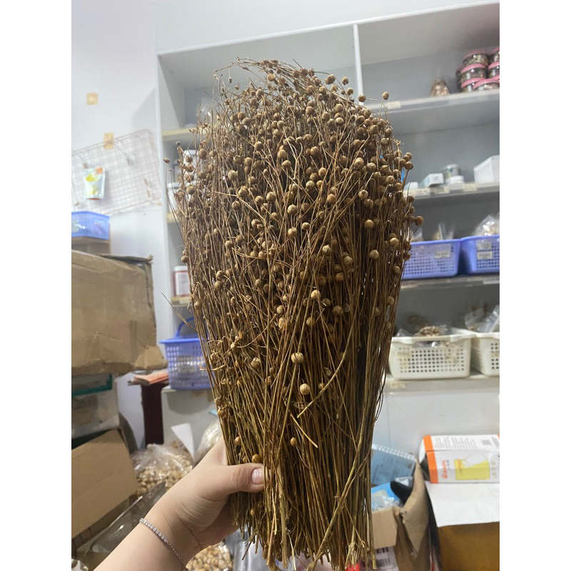 100g Cành Lanh trang Trí chuồng hamster