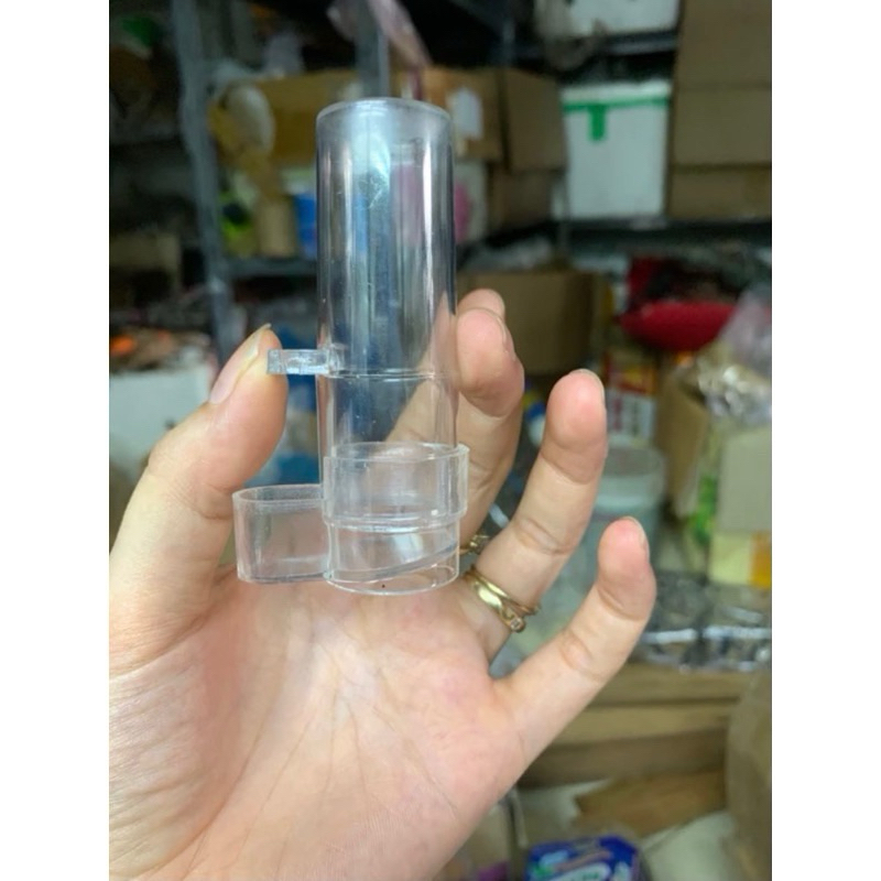 Cóng tắm,cóng ăn cho chim hút mật,yến hót,huýt cô-choè đất