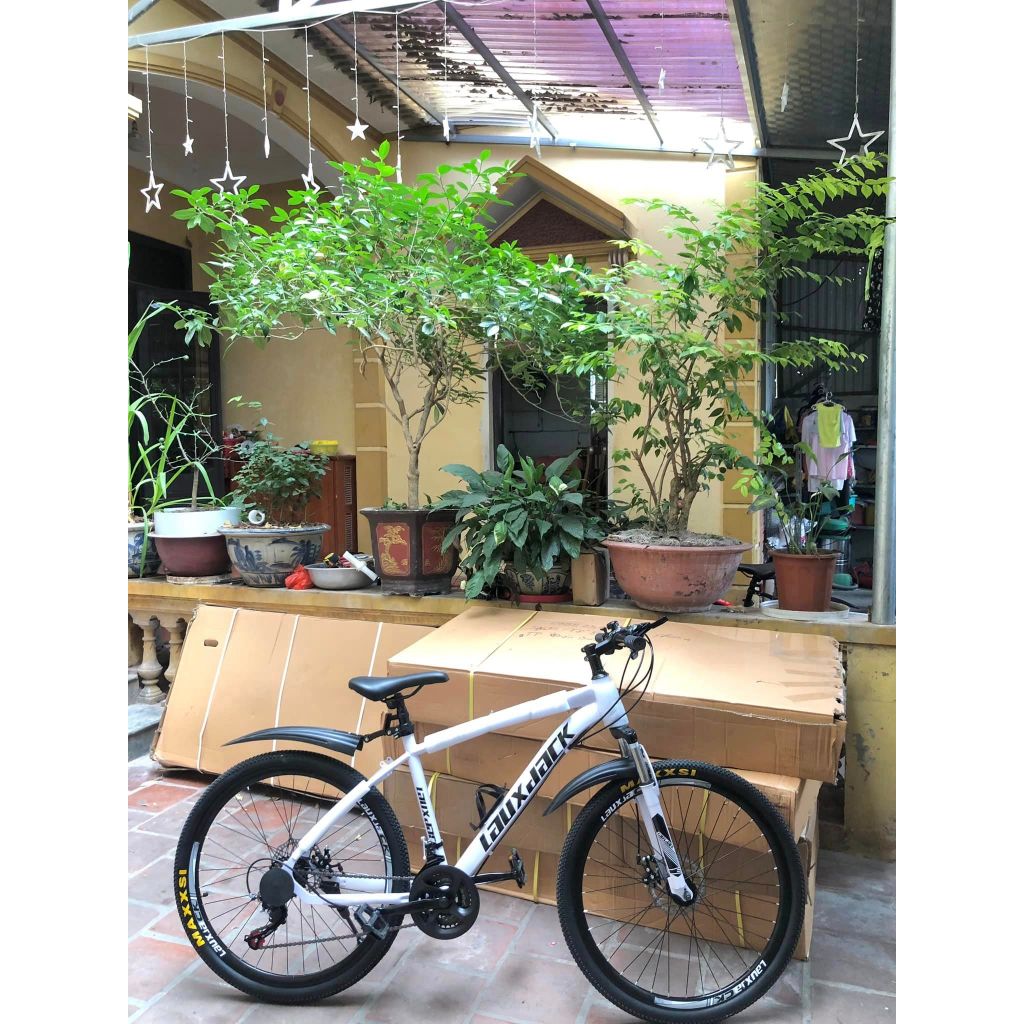 Xe Đạp Thể Dục Laujack 2 khung, xe đi học, thể dục, đi chơi, du lịch