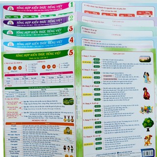 Sách - Tổng hợp kiến thức Tiếng Việt Tiểu Học theo từng lớp - in bìa cứng