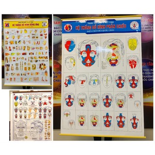Tranh Diện Chẩn Tổng Hợp Khổ A0 Canvas