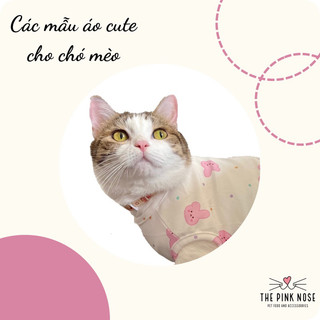 ✨✨ Các mẫu áo cute cho chó mèo có sẵn✨✨