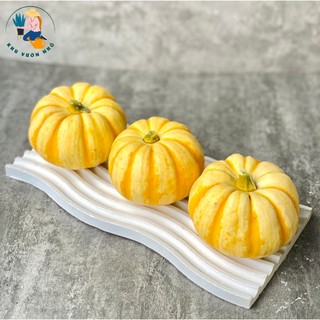Quả bí ngô trang trí Halloween - Quả bí ngô mini dùng decor, trang trí, chụp ảnh