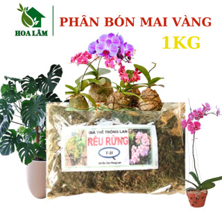 Dớn Trắng - Dớn Chi Lê - Giá Thể Trồng Lan - Vật Dụng Trồng Lan - Chile Moss - Rêu Trắng Giữ Ẩm