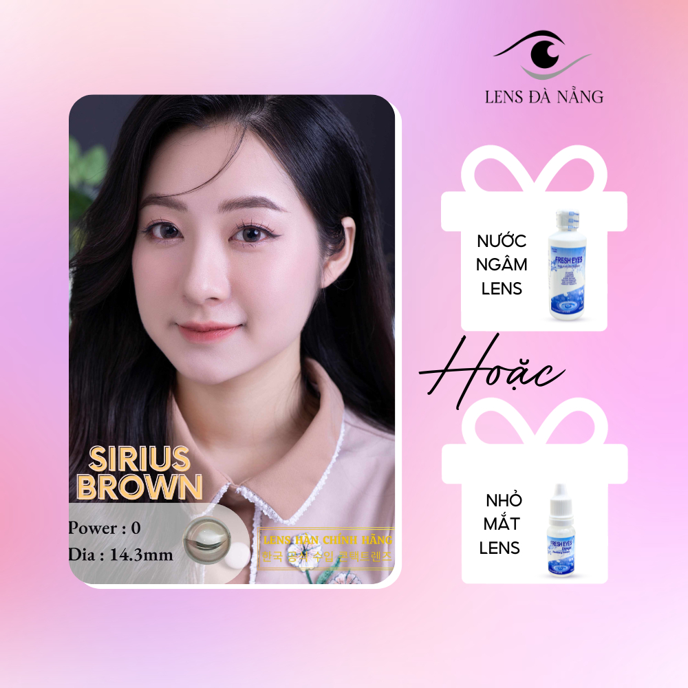 [Sirius nâu] Lens Nâu Hàn Quốc size 14,3mm