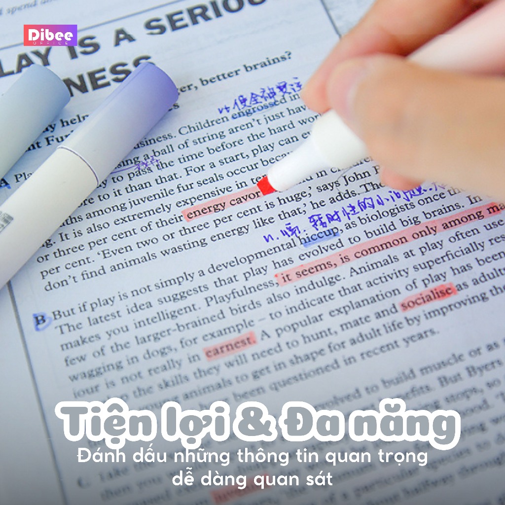 Bút đánh dấu highlight DiBee, bộ bút pastel 12 màu, đánh dấu màu pastel tiện lợi cho học sinh văn phòng B4