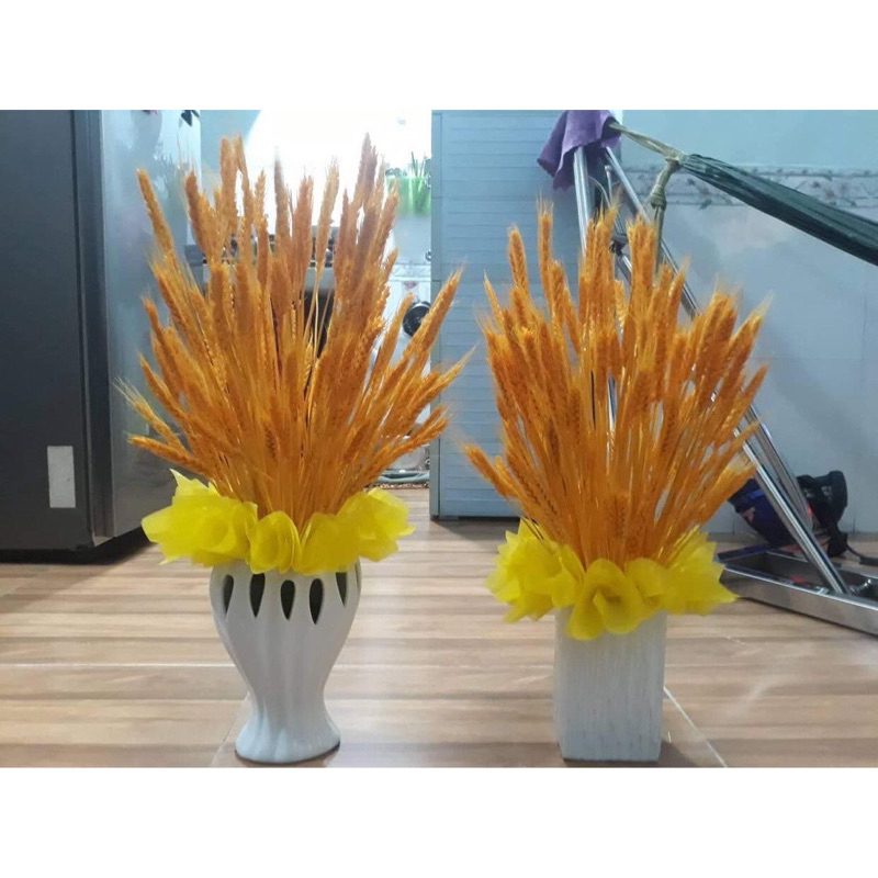 Bông lúa mạch vàng khô