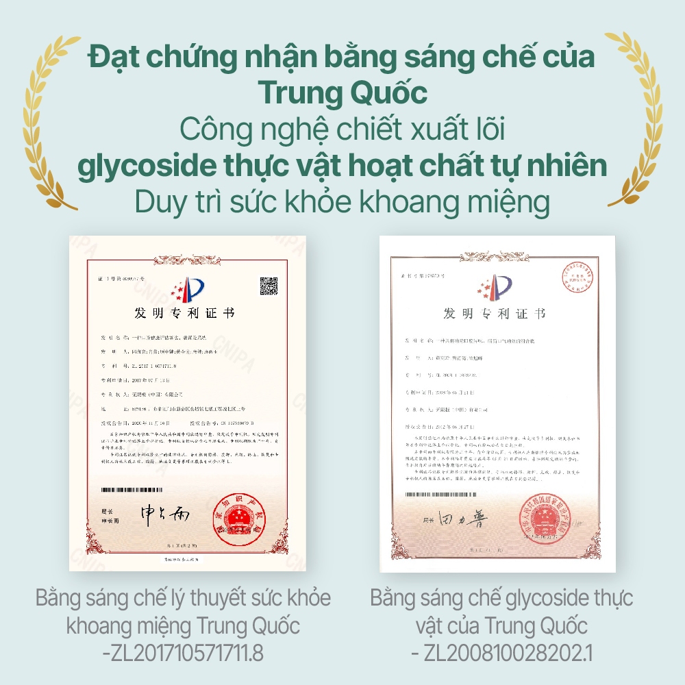 XỊT THƠM MIỆNG PHYTOCARE HƯƠNG THẢO MỘC DỊU NHẸ GIẢM NHIỆT MIỆNG ĐAU HỌNG