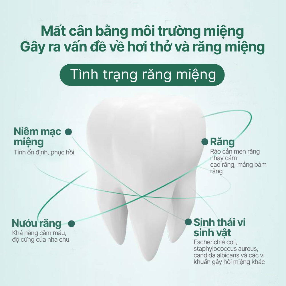 XỊT THƠM MIỆNG PHYTOCARE HƯƠNG THẢO MỘC DỊU NHẸ GIẢM NHIỆT MIỆNG ĐAU HỌNG
