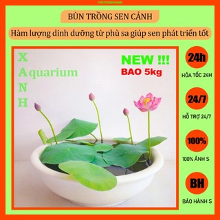 Đất bùn trồng sen cảnh [bao 5kg]