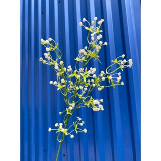 Cành hoa baby cắm điểm decor