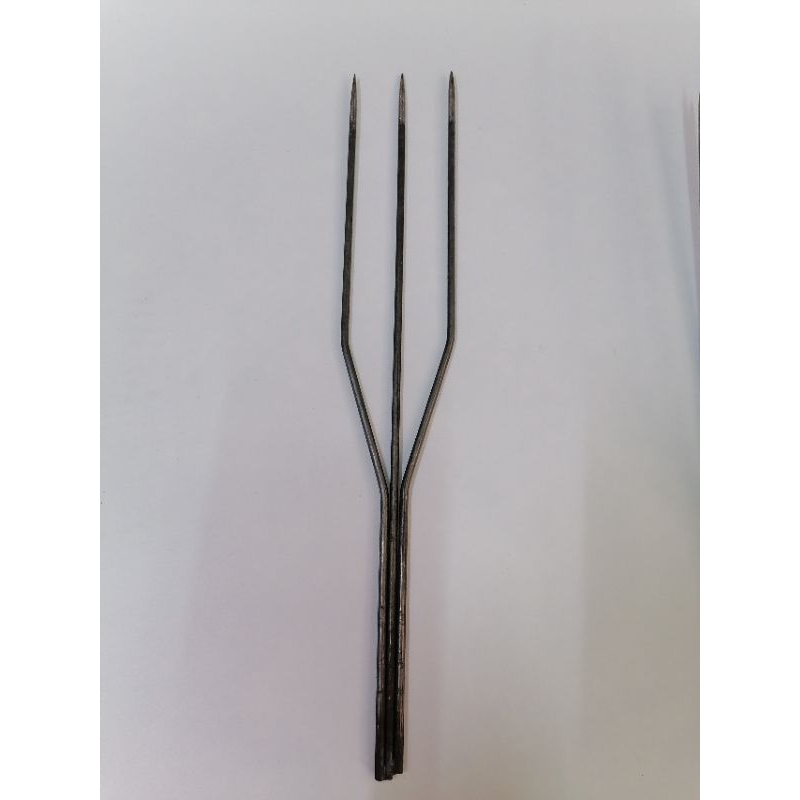 Mũi Chĩa bắt cá .