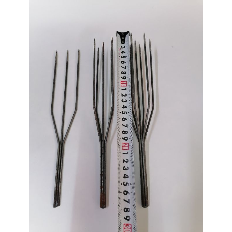 Mũi Chĩa bắt cá .