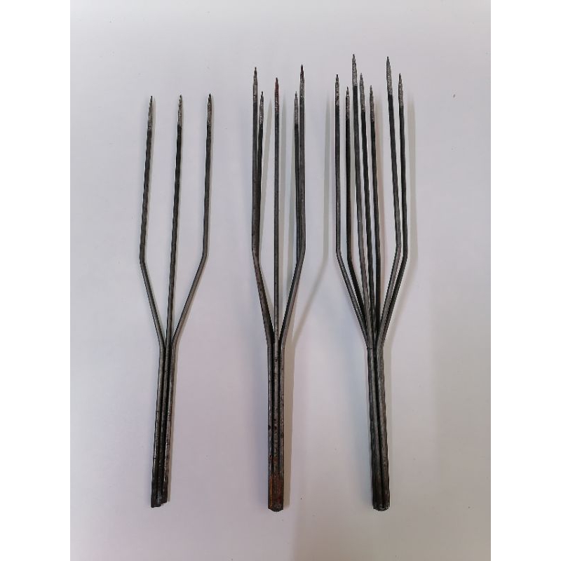 Mũi Chĩa bắt cá .