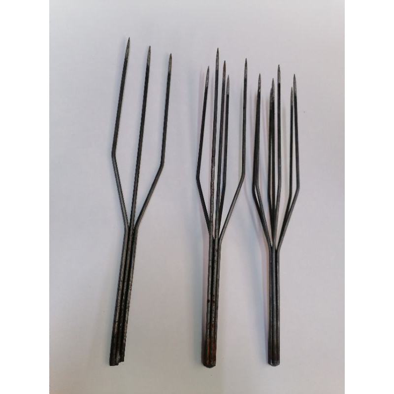 Mũi Chĩa bắt cá .