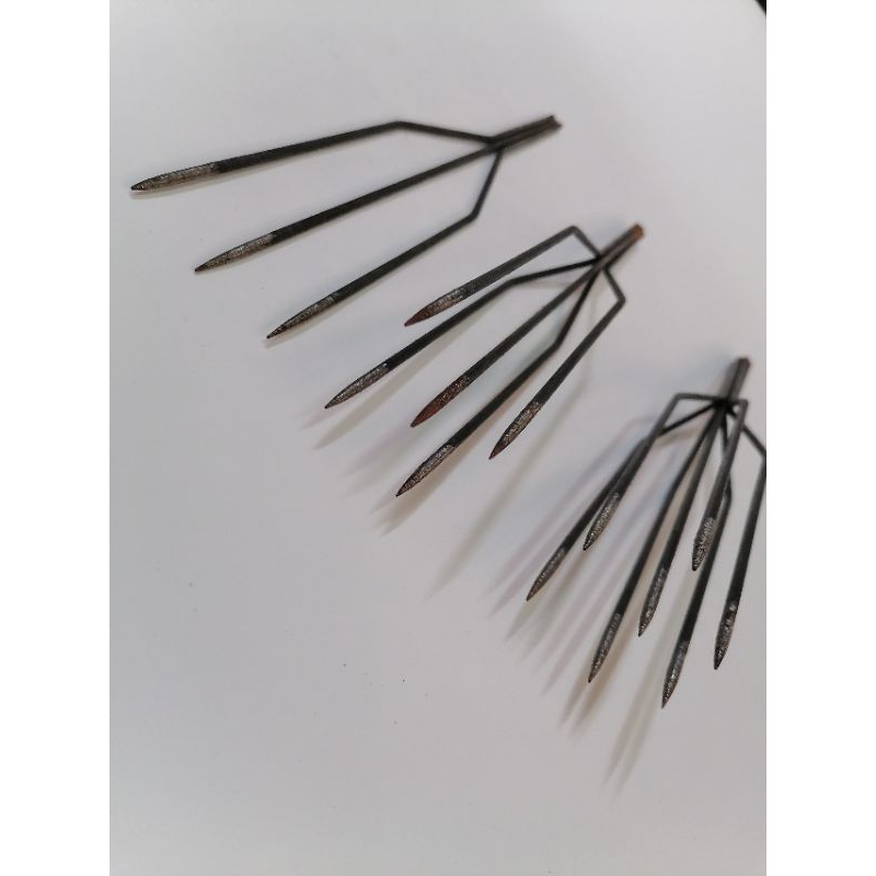 Mũi Chĩa bắt cá .