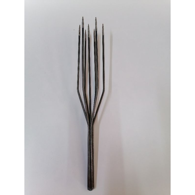 Mũi Chĩa bắt cá .