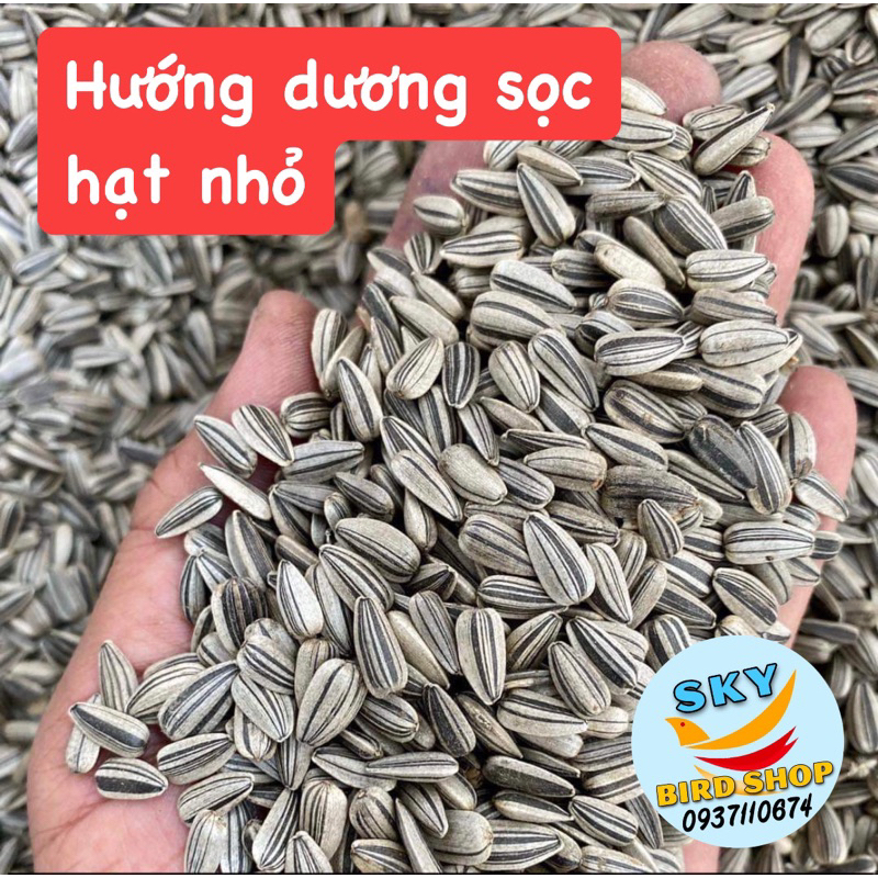 Hướng dương sọc size nhỏ túi 500g hút chân không