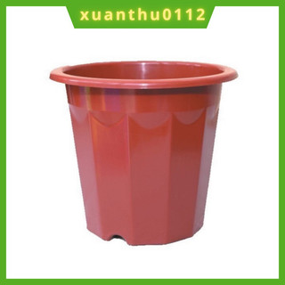 [10 chậu] Chậu nhựa trồng cây, chậu ươm cây màu nâu E280- hàng công ty dày đẹp KT 23x20cm.