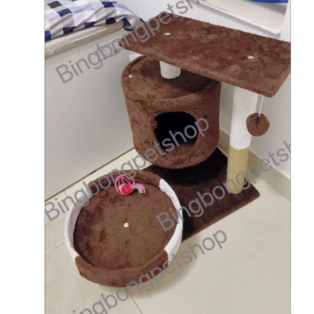 Cattree TRÁI THƠM, XƯƠNG RỒNG,  nâu , CARROT đủ loại
