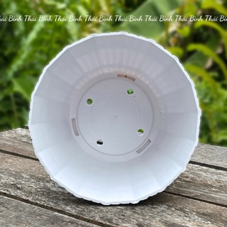 [5 Cái] Chậu Nhựa Thùng Gỗ (17x15)