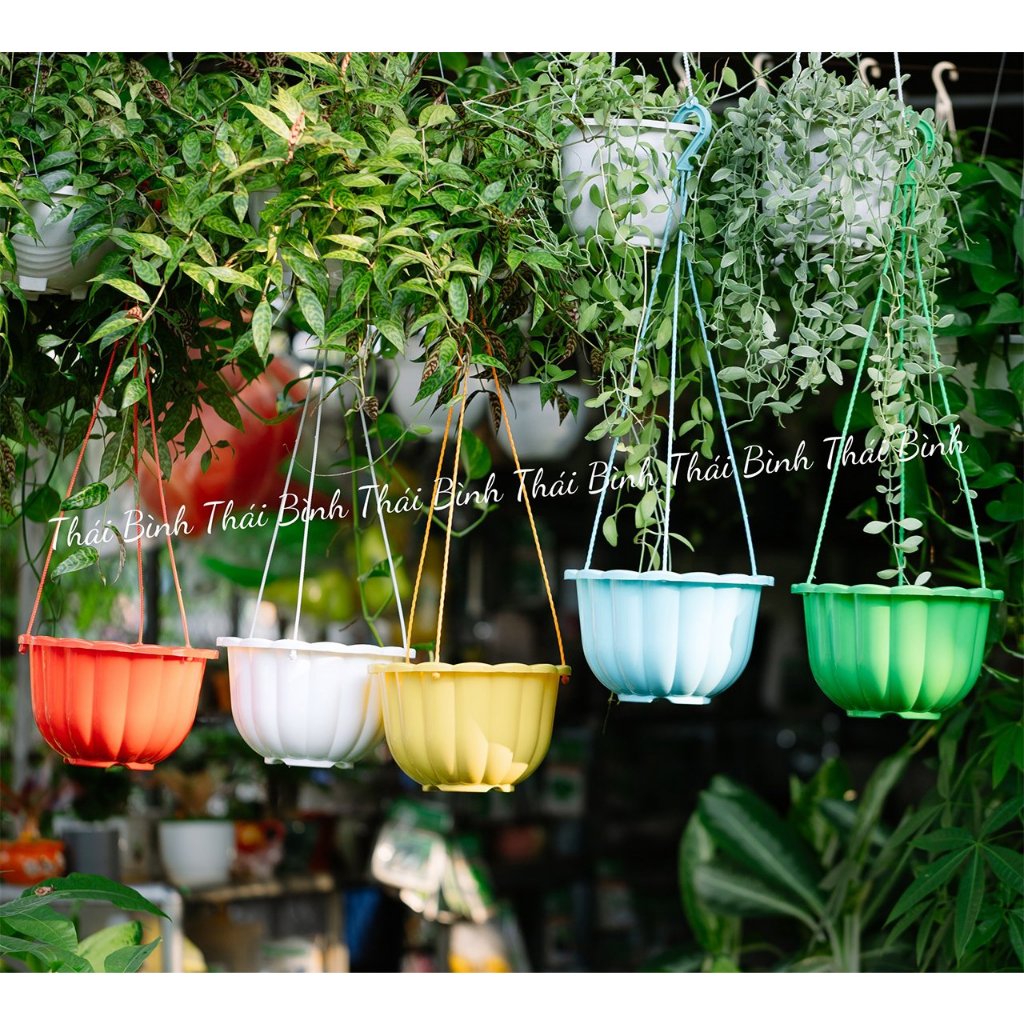 [10 Cái] Chậu Treo Bí Lớn (22x15) - Kèm Dây Treo