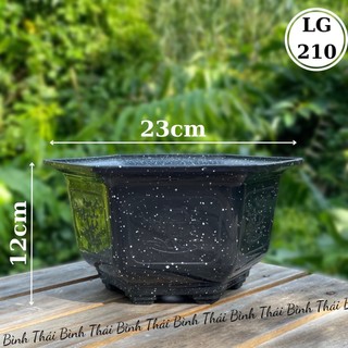 Chậu nhựa lục giác 210