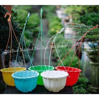 [10 Cái] Chậu Treo Bí Lớn (22x15) - Kèm Dây Treo