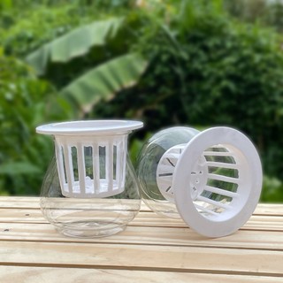 [5 Cái] Chậu Nhựa Thuỷ Canh (13x13)