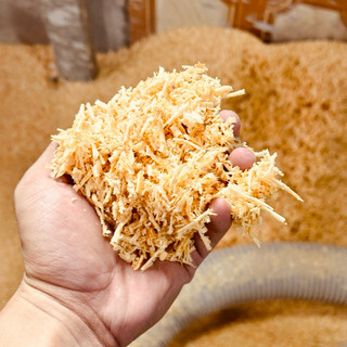 Vụn gỗ thông để Decor