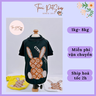 Áo cho chó mèo - áo thun teddy lv - quần áo chó mèo giá rẻ tanipetshop