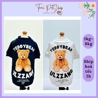 Áo thun teddy bear ulzzang cho chó mèo - áo cho chó mèo thú cưng giá rẻ tanipet shop
