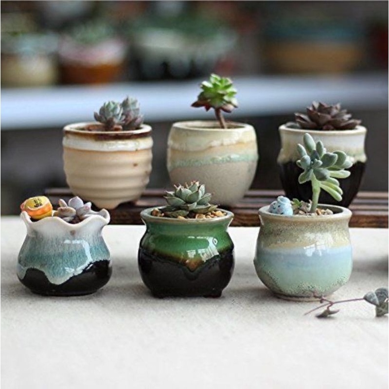 1kg ly chậu trồng sen