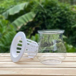 [5 Cái] Chậu Nhựa Thuỷ Canh (13x13)