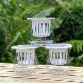 [5 Cái] Chậu Nhựa Thuỷ Canh (13x13)