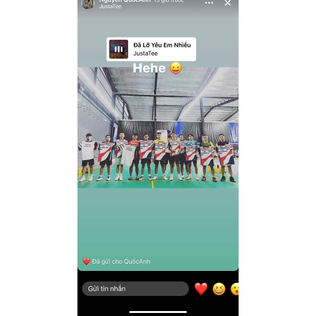 Áo cầu lông thể thao