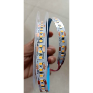 Led dây dosle12v 2835 120 chip