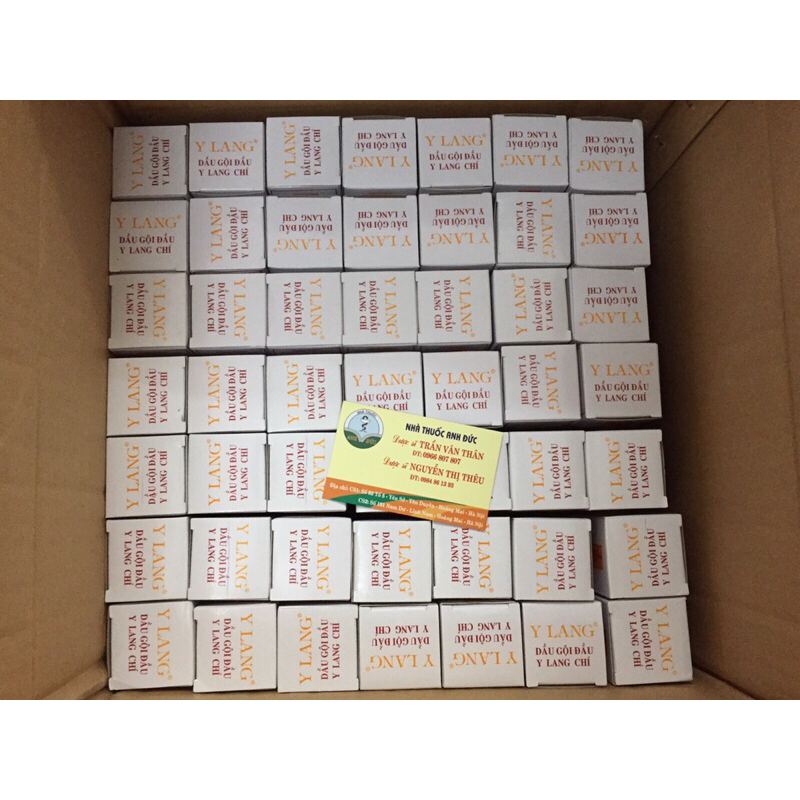 DẦU GỘI SẠCH CHÍ CHẤY Y Lang chai 100ml