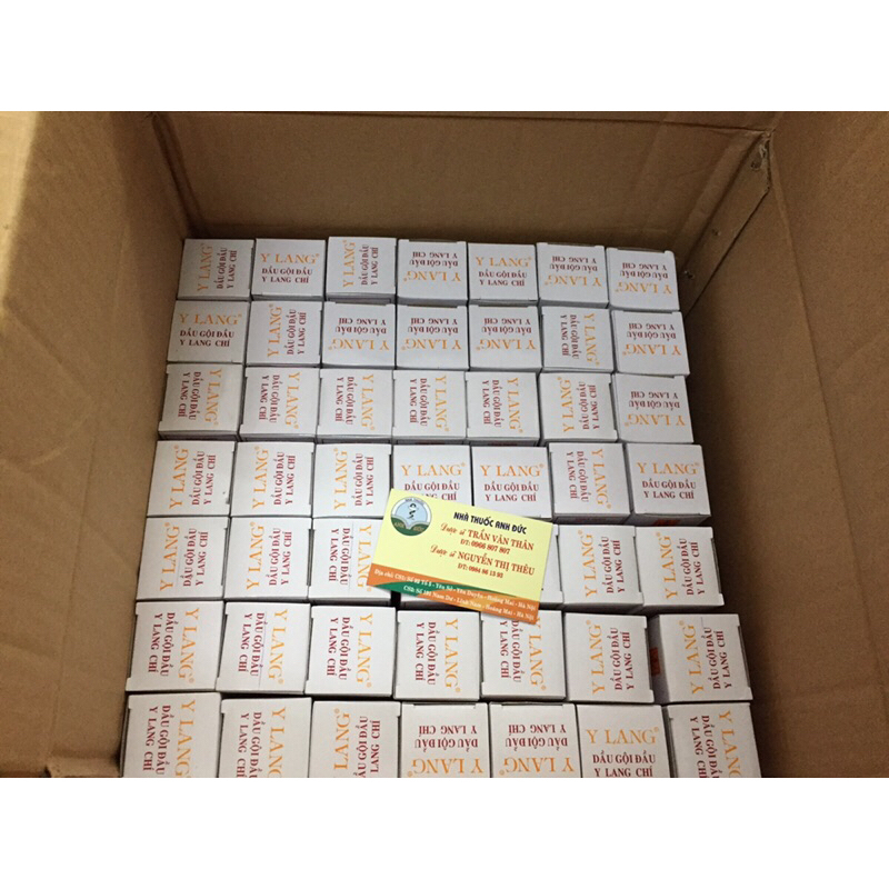 DẦU GỘI SẠCH CHÍ CHẤY Y Lang chai 100ml