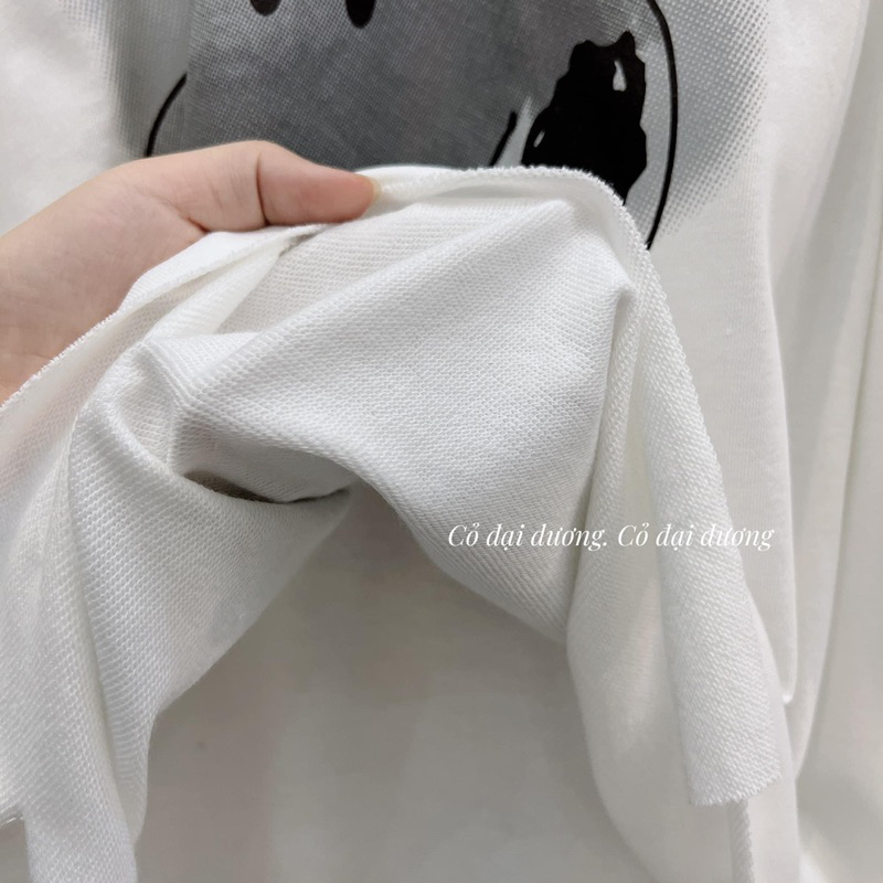 Áo Pull Dài Tay Rách Chó FAME