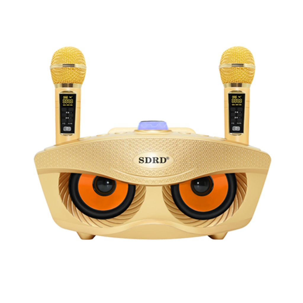 Loa Karaoke Bluetooth SD306 Plus Bản Nâng Cấp 2023 - Tặng Kèm 2 Micro Đa Năng Loa Không Dây Âm Bass Chuẩn