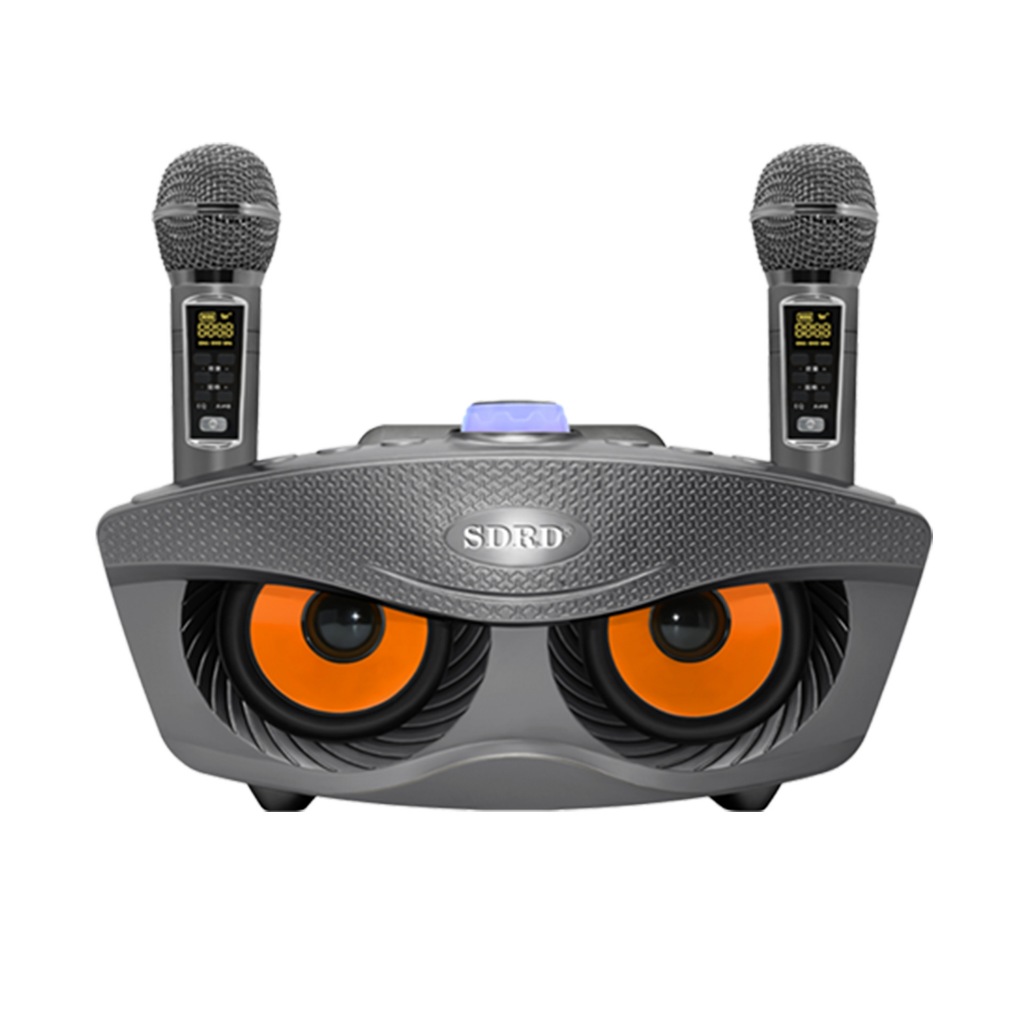 Loa Karaoke Bluetooth SD306 Plus Bản Nâng Cấp 2023 - Tặng Kèm 2 Micro Đa Năng Loa Không Dây Âm Bass Chuẩn